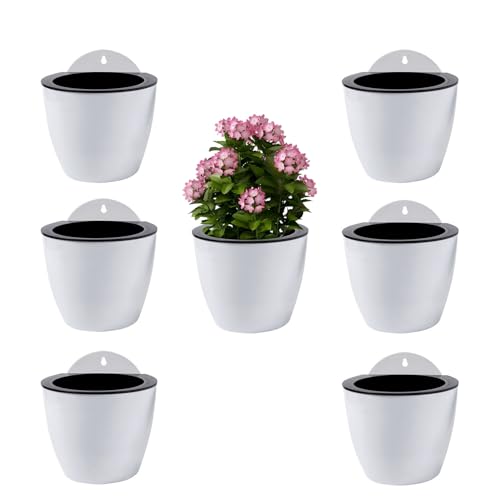 ShoppeWatch Selbstbewässernde Wand Hängende Blumentöpfe 7 Stück | Wandvasen für Pflanzen Blumen, Innen- und Außenbereich | Pflanzen Wand | Groß, 18,5 cm PL35 von ShoppeWatch
