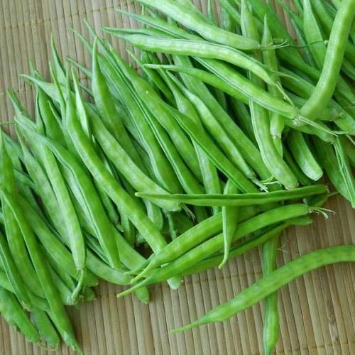 Shopvise Cluster Beans Seed (25 pro Paket) von Shopvise