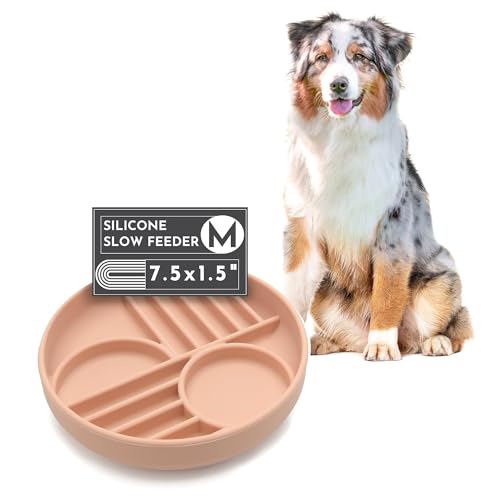 Should We Go? - Der Slowdown-Napf aus Silikon für Hunde und Welpen, langsames Fressen, modernes Leckmatten-Design reduziert Schlucken, passend für 2 Tassen mit einer Breite von 19,1 cm x 3,8 cm Höhe Should We Go? - Der Slowdown-Napf aus Silikon für Hunde und Welpen, langsames Fressen, modernes Leckmatten-Design reduziert Schlucken, passend für 2 Tassen mit einer Breite von 19,1 cm x 3,8 cm Höhe von Should We Go?