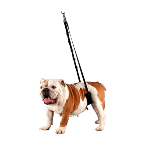 Show Tech Comfort Belly Strap for Dogs - Small von Show Tech