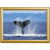 Showdown® Displays Klapprahmen 45,1 x 62,5 cm gold von Showdown® Displays