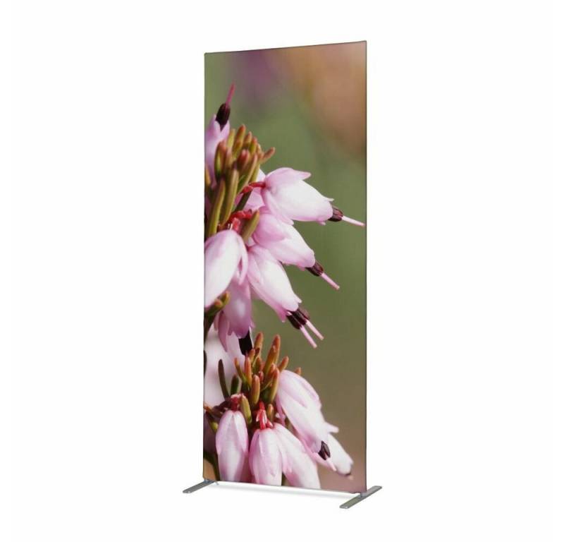 Showdown Displays Paravent 100-200 Pinke Blume Erica - Aluminiumrahmen - Schwarz (1 St) von Showdown Displays