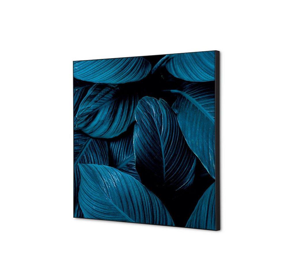 Showdown Displays Wandsticker 40x40cm - Botanische Blätter Blau - Schwarzer Rahmen (1 St) von Showdown Displays