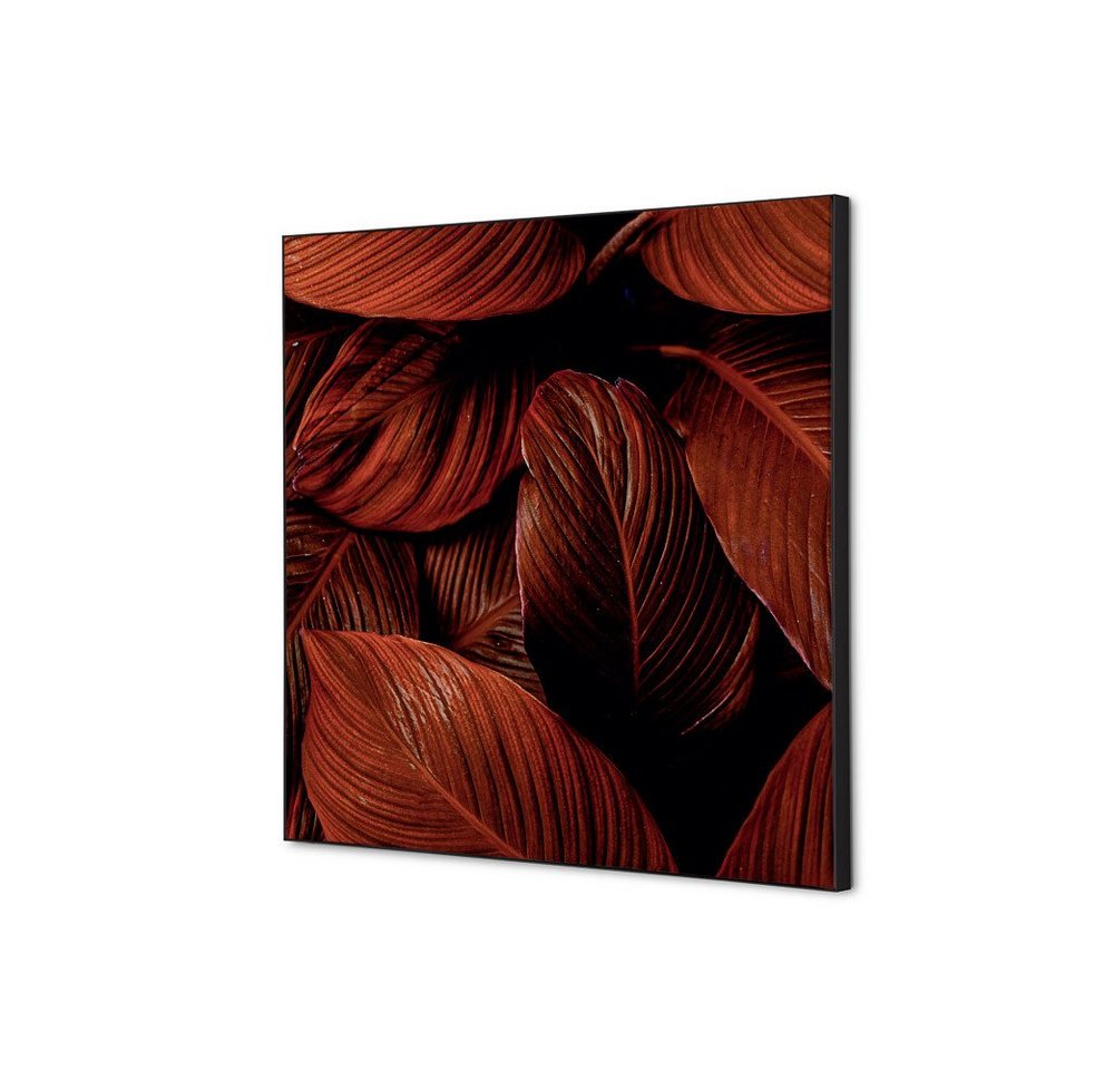 Showdown Displays Wandsticker 40x40cm - Botanische Blätter Rot - Schwarzer Rahmen (1 St) von Showdown Displays