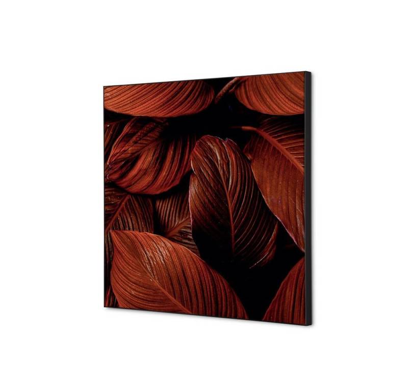 Showdown Displays Wandsticker 40x40cm - Botanische Blätter Rot - Schwarzer Rahmen (1 St) von Showdown Displays