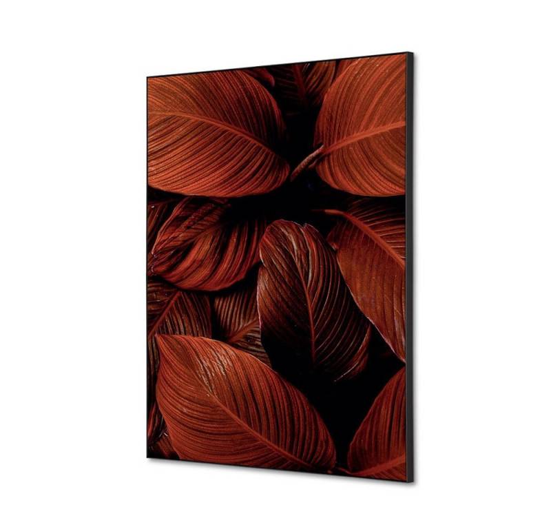 Showdown Displays Wandsticker DIN A2 - Botanische Blätter Rot - Schwarzer Rahmen (1 St) von Showdown Displays