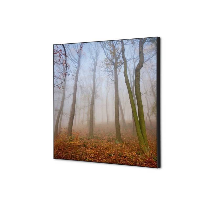 Showdown Displays Wandsticker Set 40x40cm - Herbstnebel - Schwarzer Rahmen (1 St) von Showdown Displays