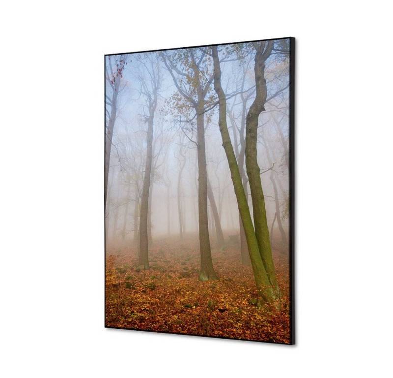 Showdown Displays Wandsticker Set DIN A2 - Herbstnebel - Schwarzer Rahmen (1 St) von Showdown Displays