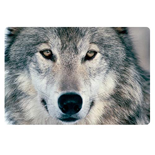 Showudesigns Fußmatte mit Tiermotiv, für den Eingangsbereich, rutschfest, für Schlafzimmer, Badezimmer, Küche, 40 x 60 cm, Gummi, Wolf-1, S Showudesigns Fußmatte mit Tiermotiv, für den Eingangsbereich, rutschfest, für Schlafzimmer, Badezimmer, Küche, 40 x 60 cm, Gummi, Wolf-1, S von Showudesigns