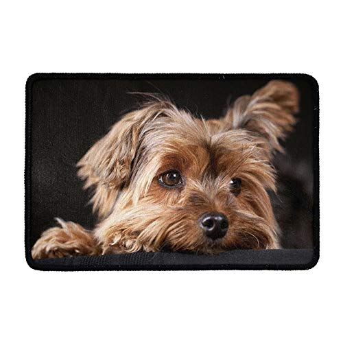 Showudesigns Fußmatte mit Yorkshire Terrier-Motiv, niedlicher Fußabtreter für den Innenbereich, mit Gummi-Unterseite, rutschfest, für jedes Wetter, für Damen, Badezimmer, Kinderzimmer, Dekoration von Showudesigns