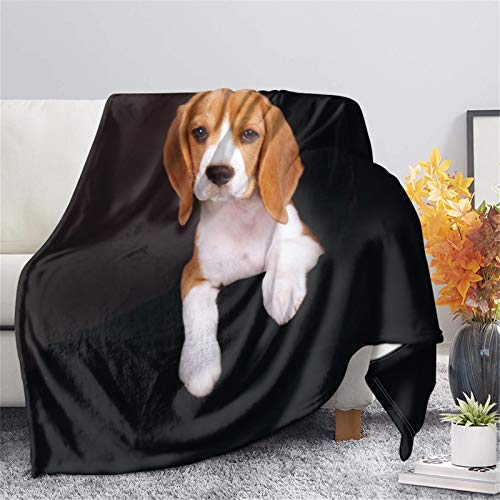 Showudesigns Überwurfdecke mit Hundemotiv, 114,3 x 152,4 cm, dekorative Decke für Couch, Bett, Sofa, Reisedecke, Bettbezug, Kawaii Beagle, Schwarz von Showudesigns