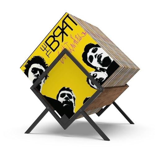 Showxeeyee Vinyl Record Storage - 80-100 Records Vinyl Storage Holder - Minimalism and Retro Style Organizer for Vinyl Records, CD, Magazine, Book, Files Showxeeyee Vinyl Record Storage - 80-100 Records Vinyl Storage Holder - Minimalism and Retro Style Organizer for Vinyl Records, CD, Magazine, Book, Files von Showxeeyee