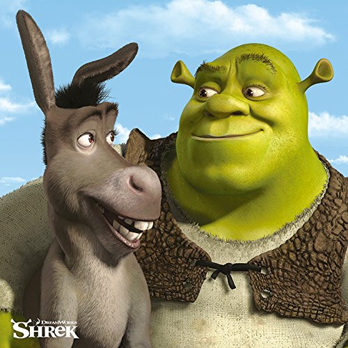 Shrek Leinwanddruck, Polyester, Mehrfarbig, 40 x 40 cm von Shrek