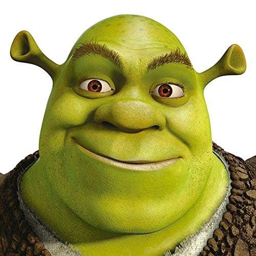 Shrek Leinwanddruck, Polyester, Mehrfarbig, 40 x 40 cm von Shrek