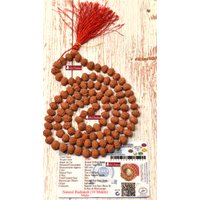 Shri Rudram 10 Mukhi Rudraksha Mala/Ten Face Rudraksh Rosenkranz Java Lab Zertifiziert 8-9 Mm D1 von ShriRudram