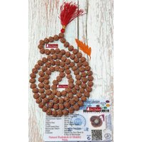 Shri Rudram 6 Mukhi Rudraksha Mala/Six Face Rudraksh Rosenkranz Java Lab Zertifiziert D1 von ShriRudram