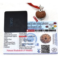 Shri Rudram 9 Mukhi Rudraksha Nine Face Rudraksh Java Bead Lab Zertifiziert 18-20 Mm von ShriRudram