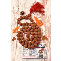 Shrirudram 10 Mukhi Rudraksha Mala/Ten Face Rudraksh Rosenkranz Java 54+1 Perlen Lab Zertifiziert 14-16 Mm von ShriRudram