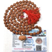 Shrirudram 13 Mukhi Rudraksha/Dreizehn-Gesichter Rudraksh Java Bead Lab Zertifiziert in 5 Mala von ShriRudram