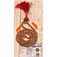 Shrirudram 4 Mukhi Nepal Rudraksha Guru Bead in 5 Mala 108+1 Gebetskette von ShriRudram