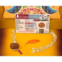 Shrirudram 8 Mukhi Rudraksha/Acht Gesicht Rudraksh Nepal Perle in Reiner Silberkette Lab Zertifiziert von ShriRudram