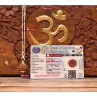 Shrirudram 8 Mukhi Rudraksha/Eight Face Rudraksh Java Perle in Pure Silver Chain Lab Zertifiziert von ShriRudram