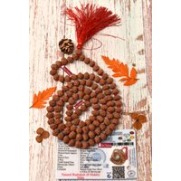 Shrirudram 8 Mukhi Rudraksha Mala/Eight Face Rudraksh Rosenkranz Java 108+1 Bead Lab Zertifiziert von ShriRudram