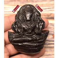 Shrirudram Hayagriva Murti/Haygriva Idol Geschnitzt Auf Sudarshan Shaligram Nepal Hv112 von ShriRudram