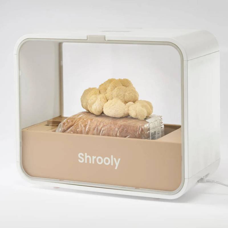 Shrooly S1 von Shrooly