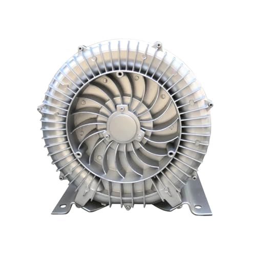 ShuaaM 750 W Hochdruck-Vortex-Ventilator-Gaspumpe – Leiser Axialventilator for den industriellen Einsatz(750W Three-phase220v) von ShuaaM