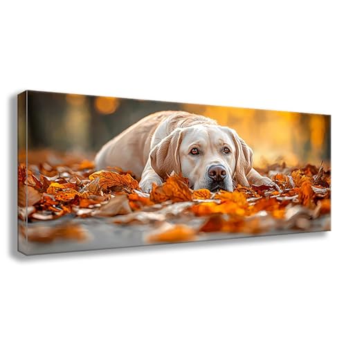 Diamond Painting Tier Diamond Painting Erwachsene Groß XXL 150x60 cm Diamant Malerei Bilder Hund 5D Rund Steine Stickerei Kreuzstich Basteln Erwachsene für Deko Wohnzimmer, Geschenke für Frauen S0-513 Diamond Painting Tier Diamond Painting Erwachsene Groß XXL 150x60 cm Diamant Malerei Bilder Hund 5D Rund Steine Stickerei Kreuzstich Basteln Erwachsene für Deko Wohnzimmer, Geschenke für Frauen S0-513 von Shueayin