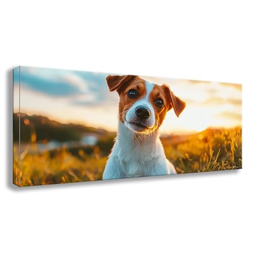Diamond Painting XXL 75x30 cm Hund Diamant Painting Bilder Tier Diamond Art DIY Vollbohrer Diamant Malerei Basteln Mädchen 10 Jahre, Strass Stickerei Mosaikherstellung für Zimmer Deko Geschenke S0-512 Diamond Painting XXL 75x30 cm Hund Diamant Painting Bilder Tier Diamond Art DIY Vollbohrer Diamant Malerei Basteln Mädchen 10 Jahre, Strass Stickerei Mosaikherstellung für Zimmer Deko Geschenke S0-512 von Shueayin