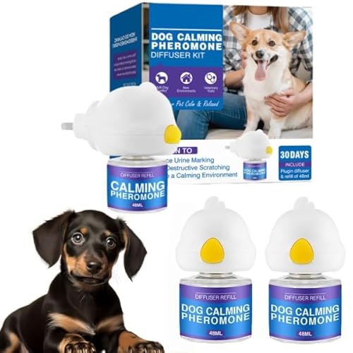Shyllin Pheromone Hund, Beruhigungsmittel für Hunde, Calmante Perros Petardos, Dog Diffuser Calming Beruhigender (1 Steckdose +2 Nachfüllflakon) Abbau von ängstlichem Verhalten Feuerwerk Gewitter von Shyllin