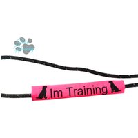 Leinenbanderole Labrador Im Training - Hundetraining Schleppleine Schild Signalband Hund Personalisiert Mantrailing Zubehör Leinenbanderole Labrador Im Training - Hundetraining Schleppleine Schild Signalband Hund Personalisiert Mantrailing Zubehör von SibasHundewelt