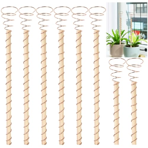 8 Stück 30 cm Elektrokultur Pflanzenpfähle,Lange Kupfer Garten Pfähle,Elektrokultur Kupfer Spule Antennen für Haus Garten Pflanzen für Wachsende Garten, Pflanzen und Gemüse 8 Stück 30 cm Elektrokultur Pflanzenpfähle,Lange Kupfer Garten Pfähle,Elektrokultur Kupfer Spule Antennen für Haus Garten Pflanzen für Wachsende Garten, Pflanzen und Gemüse von Sibosen