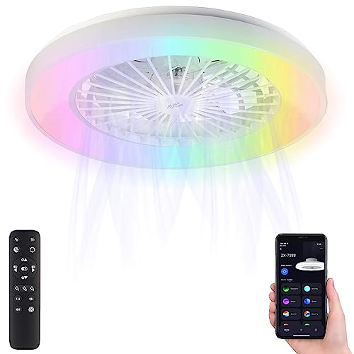 Sichler Haushaltsgeräte Ventilatorlampe: 2in1-WLAN-Deckenleuchte & Ventilator, RGB-CCT-LEDs, 30W, 1.250 lm, App (Deckenlampe mit Ventilator, Lampe Ventilator, Tischventilator) von Sichler Haushaltsgeräte