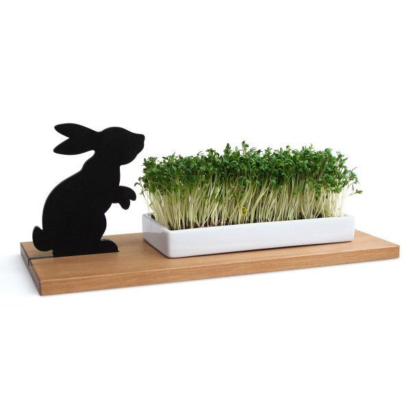Side by Side KRESSESCHALE - smart´n´green - Hase von Side by Side