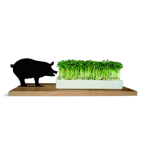 Side by Side Kresseschale smart n Green Schwein 40053S von SIDE BY SIDE