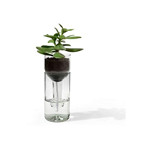 Side by Side - Self Watering Bottle - Pflanzgefäß/Blumnetopf - Glas/Docht/Tuch - Weiss/Klar - D: 7,5cm - gefetigt aus Einer echten Weinflasche von Side by Side