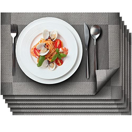 Loco Bird Platzsets 6er Set silber - 44x30cm - Tischsets Abwaschbar aus PVC - Hitzebeständige Tischunterlage - Platzdeckchen - Tischmatte von Sidorenko