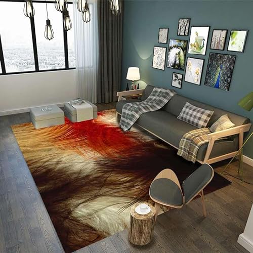 Siebe Teppich 60X90Cm Rotbraune Federn Teppiche Schlafzimmer,Teppich Waschbarer Weiche,Teppiche Bequeme ​Für Wohnkultur,Teppiche Dekorative,rutschfeste von Siebe