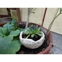 Pflanzschale Rund, Mini, Keramik, Kastendeko von Siebenzahlkeramik