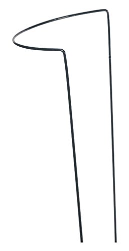 Siena Garden Strauchstütze, 100x40cm, grün, 561364 von Siena Garden
