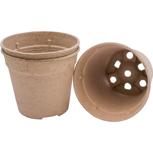 Siena Garden 3er-Pack ECO-Kulturtöpfe 19 cm von Siena Garden