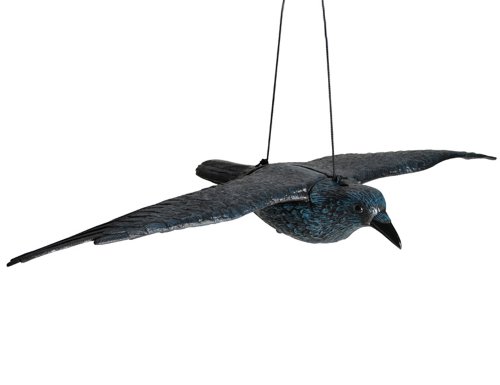 Hillfield Schwarzer Rabe fliegend 80cm Spannweite Kunststoff Taubenschreck Taubenabwehr Vogelschreck (1) von Hillfield