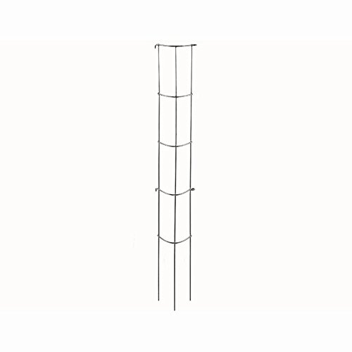 Siena Garden 879910 Gemüse-Rankturm, Silber, 110 cm Siena Garden 879910 Gemüse-Rankturm, Silber, 110 cm von Siena Garden