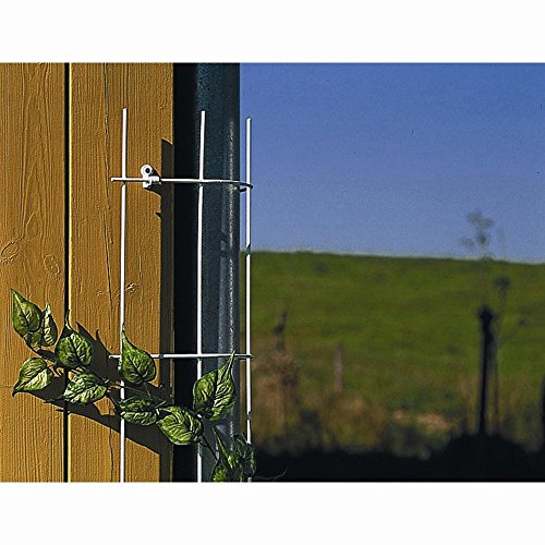 Siena Garden Fallrohrspalier braun 150cm-150mm Durchmesser von Siena Garden