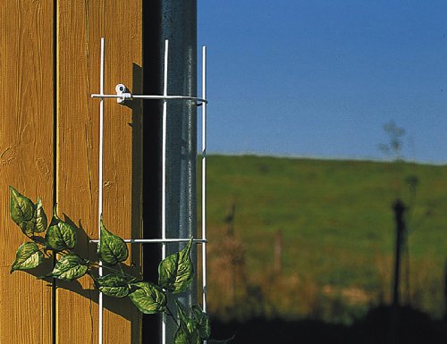 Siena Garden Fallrohrspalier braun 150cm-150mm Durchmesser Siena Garden Fallrohrspalier braun 150cm-150mm Durchmesser von Siena Garden