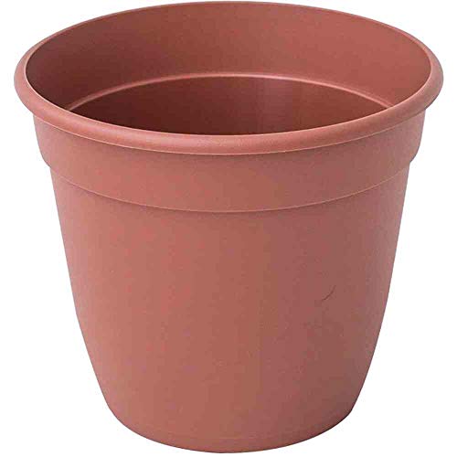 Siena Garden Pflanztopf terra 36cm von Siena Garden