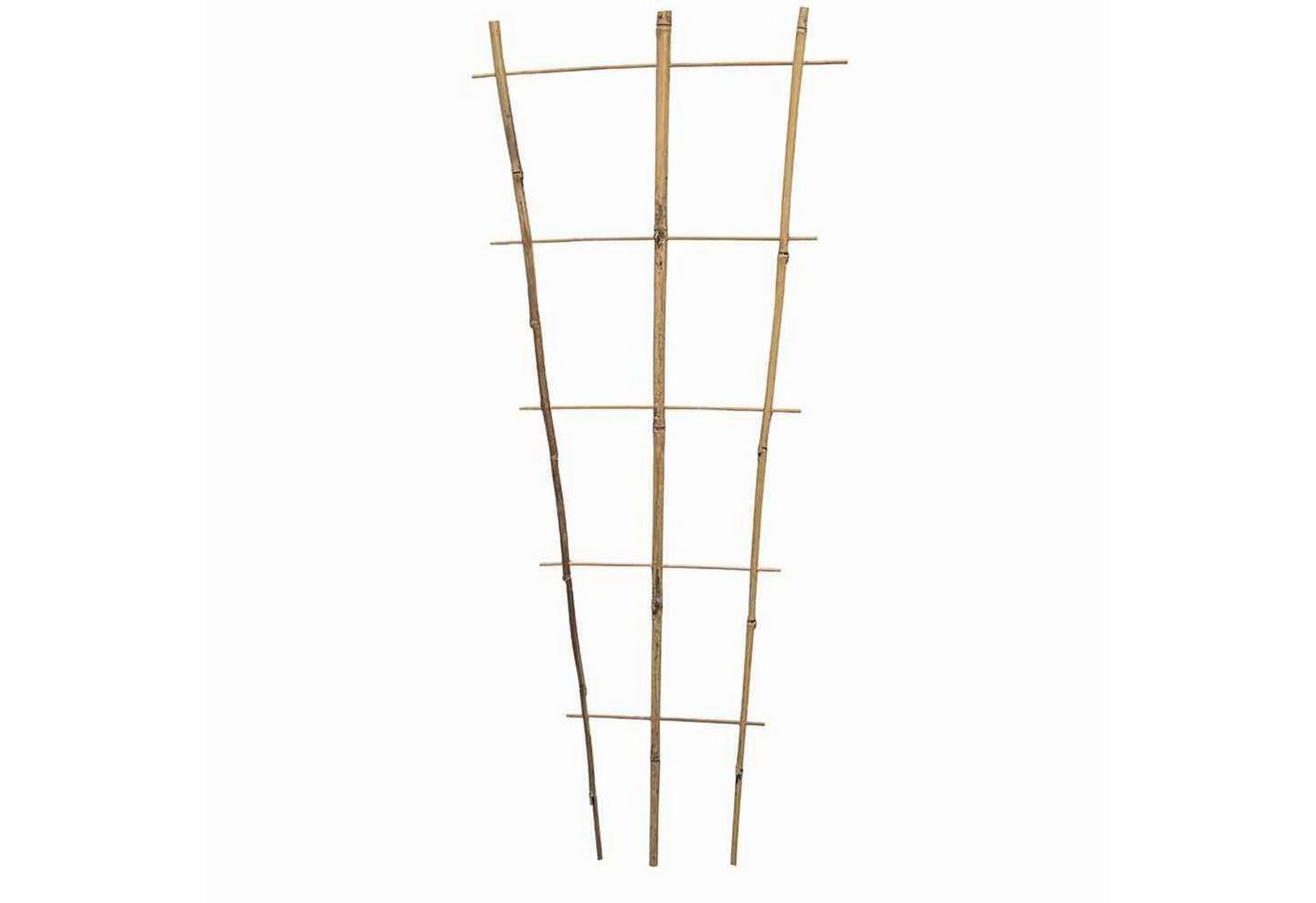 Siena Garden Rankgitter Bambus Rankgitter 110 cm 110 x 40 x 12 cm Siena Garden Rankgitter Bambus Rankgitter 110 cm 110 x 40 x 12 cm von Siena Garden